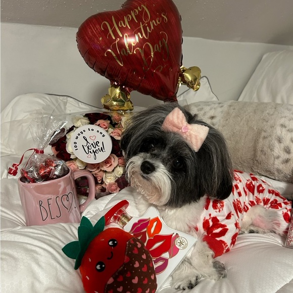 Meet your Posher, Jacqueline - Picture 5 of 14